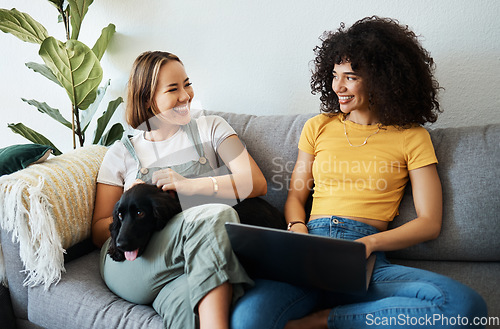 Image of Dog, laptop or gay couple on sofa to relax together in healthy relationship love connection. Lgbtq, online or lesbian women with a pet animal to hug, play or bond on living room couch for remote work