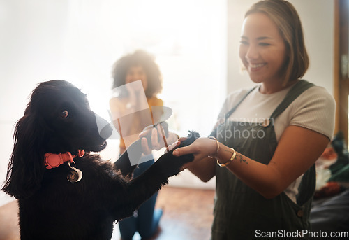 Image of Happy, dance and dog with woman in home, living room and teaching or learning a trick in development or growth in apartment. Training, pet and people in house with cocker spaniel, animal and bonding