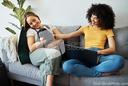 Image of Dog, home living room and happy couple of friends bonding, connect and smile for animal love, support or care. LGBTQ, happiness or gay people, bisexual partner or lesbian women relax with pet on sofa