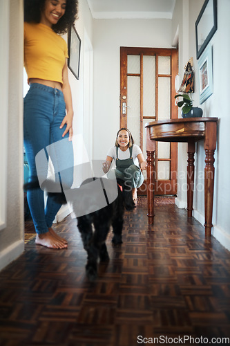 Image of Dog, home and happy lesbian couple play, bonding or having fun together. Pet, gay women smile with animal running in hallway and care in healthy relationship, love connection and lgbt people in house