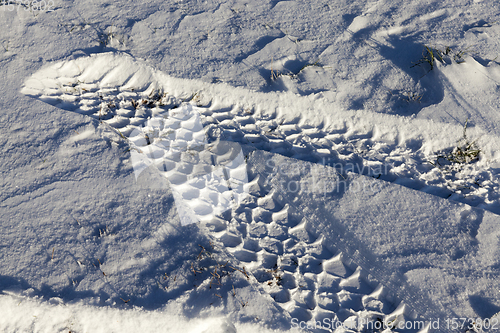 Image of car tire in the snow