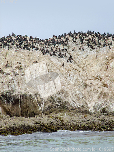 Image of Bird Rock in California