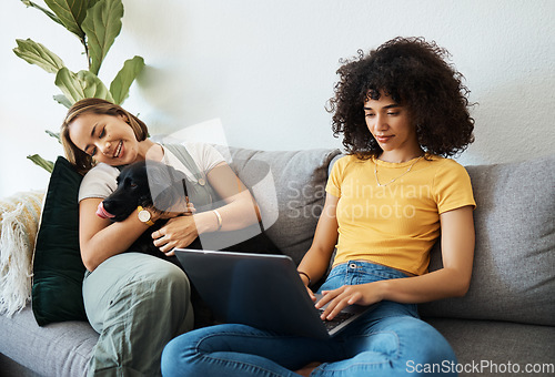 Image of Dog, laptop or lesbian couple in home to relax together in healthy relationship or love connection. Lgbtq, online or gay women with a pet animal to hug or bond on living room sofa for remote work