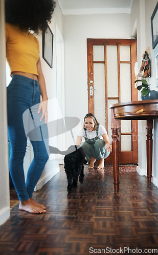 Image of Dog, house and happy lesbian couple play, bonding or having fun together. Pet, gay women smile with animal in hallway and care in healthy relationship, love connection and lgbt people in home