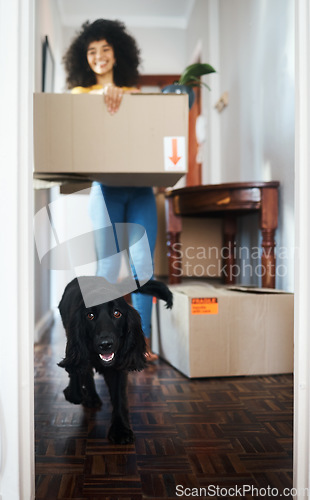 Image of New house, moving in and woman with box, dog and smile in real estate, property or dream home. Mortgage, animal and lady homeowner with excited puppy in pet friendly apartment or investment