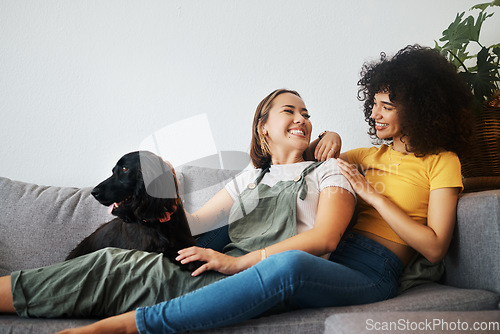 Image of Dog, relax or happy lesbian couple on sofa together in healthy relationship or lgbtq love connection. Talking, conversation or gay women smile with pet, bond or care in house living room on couch