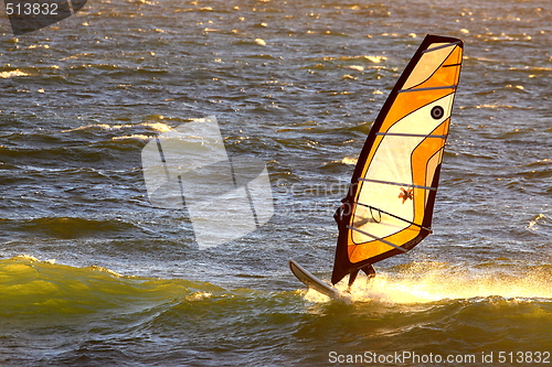 Image of Wind surfers