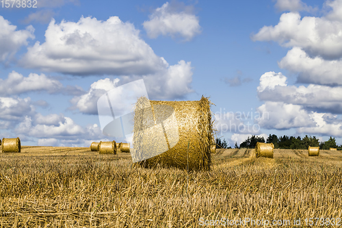 Image of agricultural field