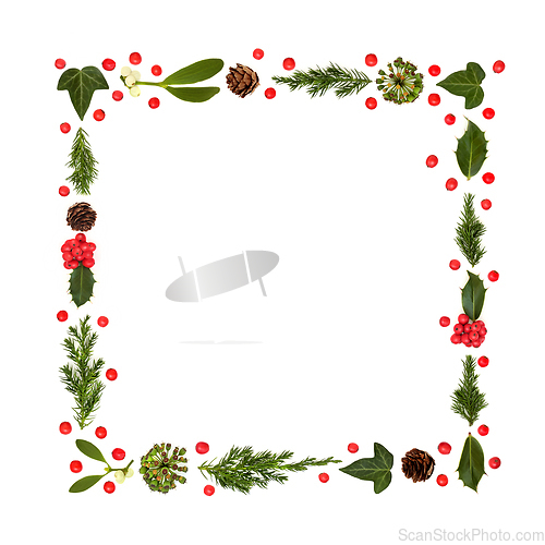 Image of Christmas Winter Flora and Holly Berry Frame 