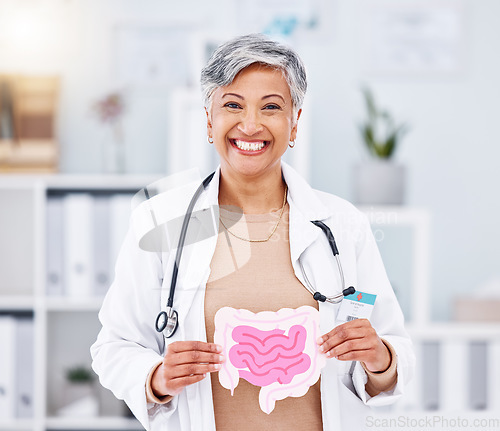 Image of Portrait, doctor and mature woman with intestine model in hospital clinic. Face, gastroenterology and medical professional smile for healthcare of gut, wellness of digestive system and colon anatomy