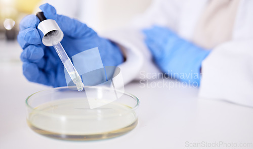 Image of Petri dish, hand and pipette for medical science research, medicine pharmacy or dna engineering with ppe in laboratory. Person, scientist and equipment in healthcare test or future vaccine innovation