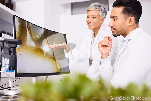 Image of Teamwork, screen or scientists with plant for research, lab test or innovation for agriculture study. Science, mentor or leaf on monitor for natural herbal medicine, pharma or internship education