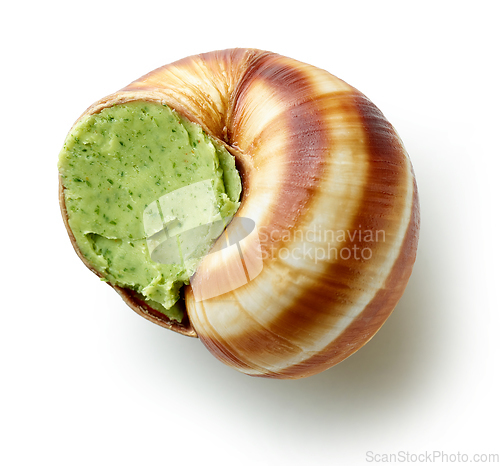 Image of escargot snail stuffed with garlic and parsley butter