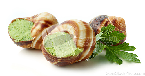 Image of escargot snail filled with garlic and parsley butter