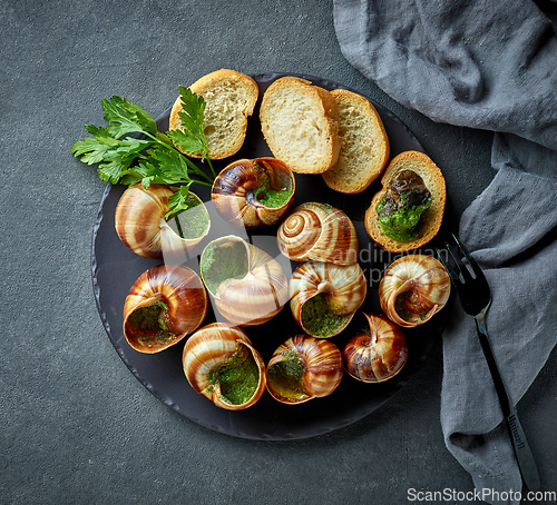 Image of plate of baked escargot snails filled with parsley and garlic bu