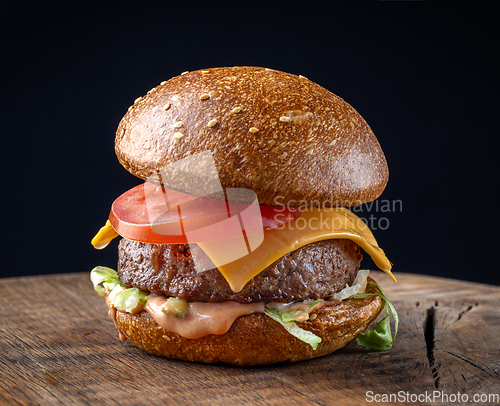 Image of fresh tasty burger