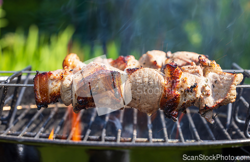 Image of grilled pork skewers