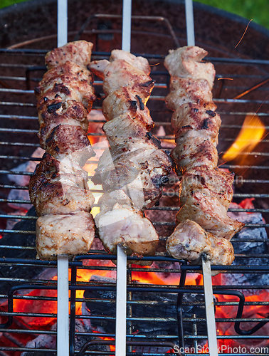 Image of grilled marinated pork meat skewers