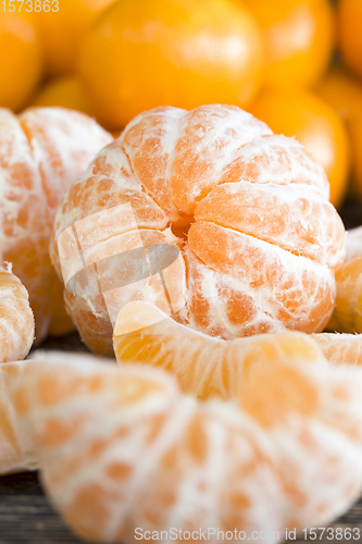 Image of citrus fruits