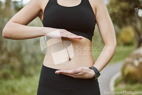 Image of Woman, hands and stomach in nature for lose weight, tai chi or spiritual wellness in outdoor exercise. Closeup of female person and abdomen for reiki, aura or balance in body care, fitness or park