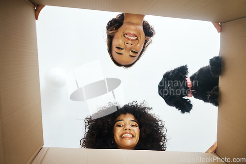 Image of Portrait, happy and lesbian couple with dog and box for moving, unpacking or a new house from below. Love, home and lgbt women with pet and package for packing, real estate or relocation to apartment