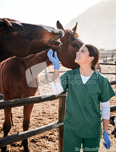 Image of Vet, ranch and doctor with care for horse for medical examination, research and health check. Healthcare, animal care and happy woman nurse on farm for inspection, wellness and veterinary treatment