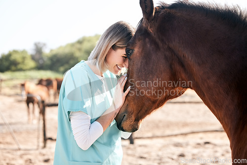 Image of Vet, doctor and woman with care for horse for medical examination, research and health check. Healthcare, nurse and happy person on farm for inspection, wellness and veterinary treatment on ranch