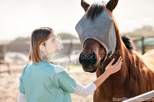 Image of Vet, doctor and woman with horse on ranch for medical examination, research and health check. Healthcare, animal care and happy person on farm for inspection, wellness and veterinary treatment