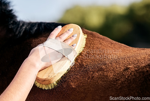 Image of Horse, cleaning and person with brush on ranch for animal care, farm pet and grooming in countryside. Farming, fur and hands with stallion for brushing mane for wellness, healthy livestock or hygiene