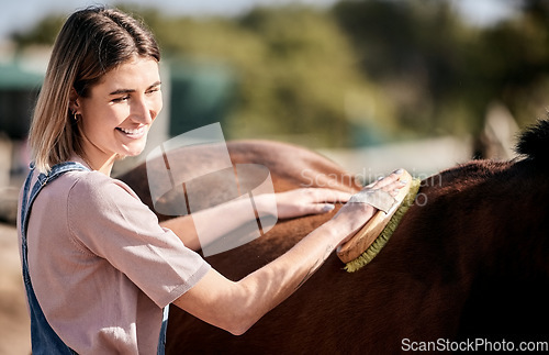 Image of Horse, grooming and woman with brush on ranch for animal care, farm pet and cleaning in countryside. Farming, happy and person with stallion brushing mane for wellness, healthy livestock and hygiene