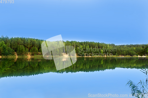 Image of Picturesque lake in the forest