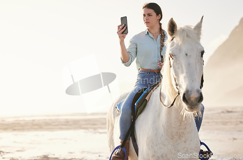 Image of Horse riding, phone and woman on beach with pet for travel using social media, website and web for chatting. Texting, picture and person or rider with animal on vacation or holiday at sunrise