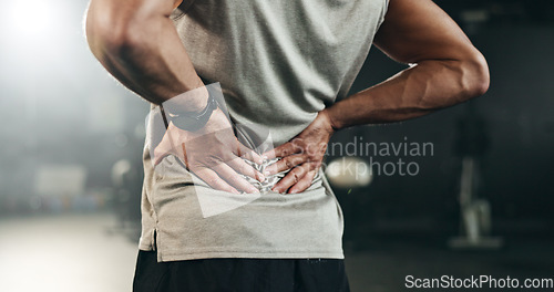 Image of Fitness, back pain and hands of man at gym for training with muscle, problem or arthritis. Sports, injury and guy athlete with joint massage for backache, fibromyalgia or osteoporosis accident