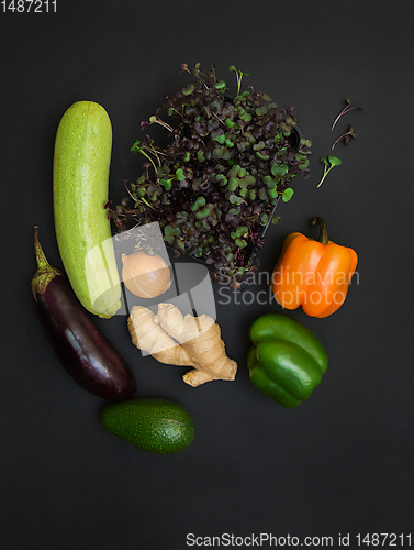 Image of Micro greens sprouts