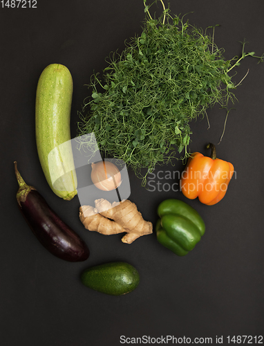 Image of Micro greens sprouts