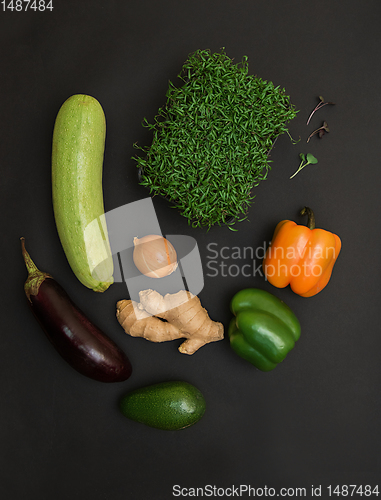 Image of Micro greens sprouts