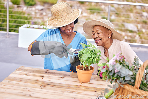 Image of Senior woman, gardening and nurse help in home patio with support, care and plant. Healthcare, retirement and nursing outdoor with happy elderly female person with a smile from basil herb wellness