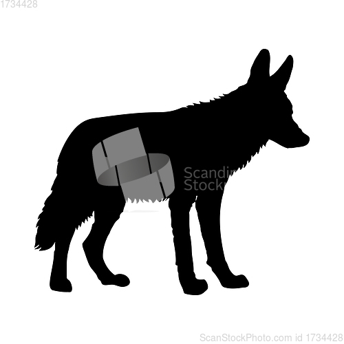 Image of Coyote Silhouette