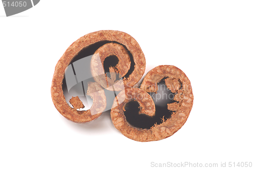 Image of Cinnamon