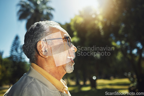 Image of Happy, profile and senior man in park, nature and outdoor adventure in retirement, holiday or vacation in sunshine. Elderly person, happiness and smile in summer, forest or woods with wellness