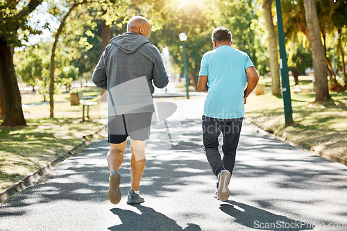 Image of Friends, walking and senior men in park for wellness, health and wellbeing for energy in retirement, Fitness, workout and back of mature people in nature for exercise, training and cardio together