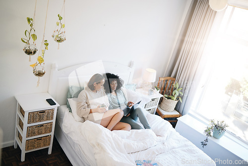 Image of Lgbt, couple and relax on bed with laptop in home with social media, internet or streaming online watching movie. Happy, together and lesbian women in bedroom to watch video, peace and website