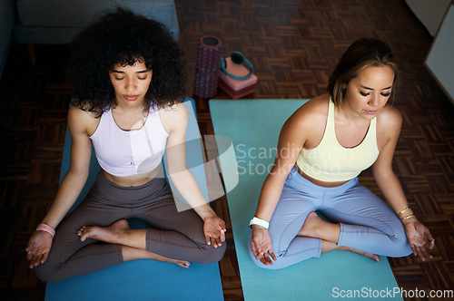 Image of Yoga, meditation and women friends in the living room doing breathing in lotus position together. Calm, peace and top view of people doing pilates workout or exercise for fitness in lounge at home