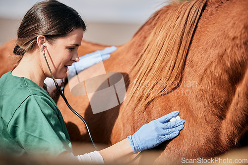 Image of Woman vet, stethoscope and horse farm with wellness, healthcare and support with animal in countryside. Nurse, trust and helping with heart rate and monitoring outdoor with a smile from nursing