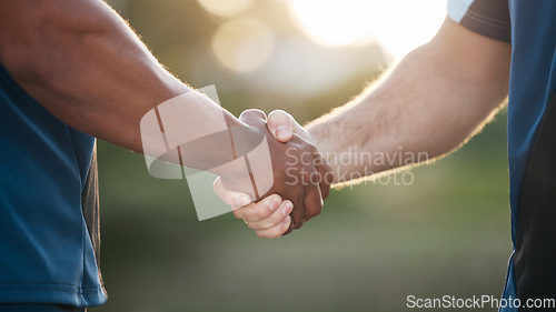 Image of Handshake, partnership and trust, support and teamwork with congratulations or thank you. Introduction, success and people shaking hands for solidarity, welcome in community and collaboration meeting