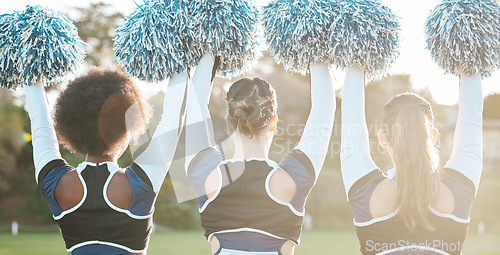 Image of Back of cheerleader, sports and women on field for performance, dance and motivation for game. Teamwork, dancer and people in costume cheering for support in match, competition and event outdoors