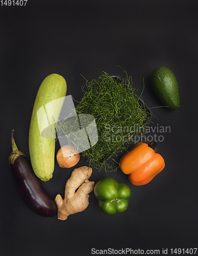 Image of Micro greens sprouts