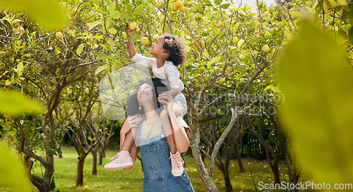 Image of Woman with kid, lemon orchard and piggyback in nature, agriculture with healthy food and nutrition on citrus farm. Farmer, mother and daughter time picking fruit and happiness, harvest and bonding