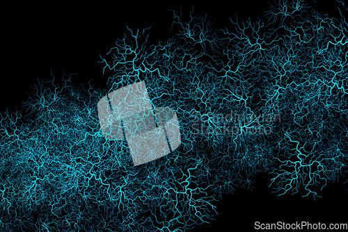 Image of Graphics, background and blue veins for blood system, illustration or design isolated in studio. Capillary, black backdrop and varices for human anatomy, fractal texture or abstract glow of wallpaper