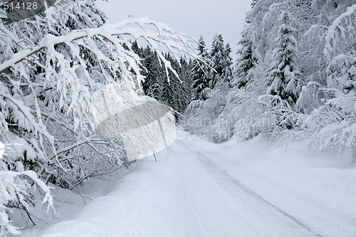 Image of Winter landscape